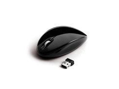 Souris optique sans fil / noir