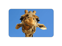 Tapis de souris soft-pad