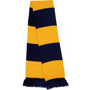 Team scarf echarpe bicolore Au choixNavy / Gold