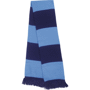 Team scarf echarpe bicolore Au choixNavy / Sky Blue