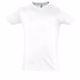 Tee-shirt homme ajusté major Blancblanc