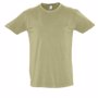 Tee-shirt homme pigment dyed maori Au choixpigment taupe