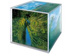 Tirelire cadre photo