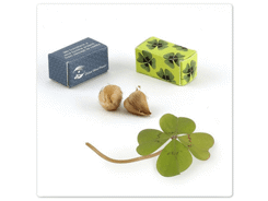 Trèfle à quatre feuilles