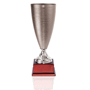 Trophée coupe 300 mm ArgentArgent