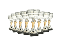 Trophée coupe 65x30x215