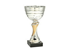 Trophée coupe 65x30x235
