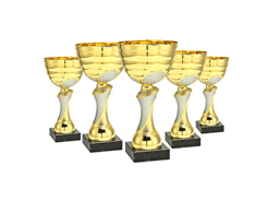 Trophée coupe 85x30x285