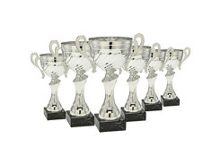 Trophée coupe argent 65x30x210