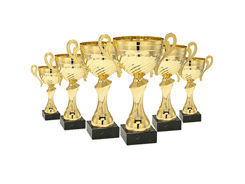 Trophée coupe dorée 85x30x300