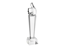 Trophee cristal ok 244 mm