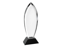 Trophee cristal rome 209 mm