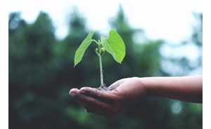 Quel objet publicitaire écolo pour votre campagne ? 